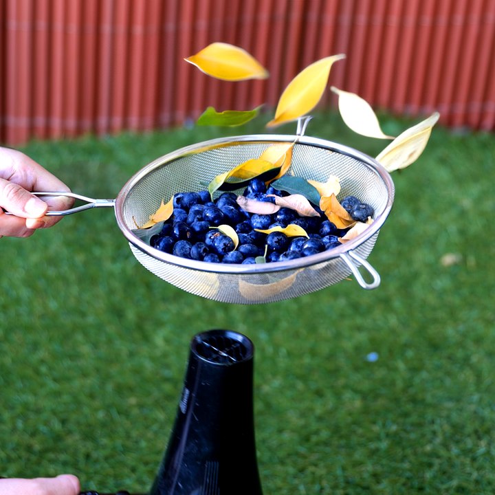 New to gardening? then these hacks are for you 🌿 #gardening #plantsoftiktok #beginnerfriendly #tips #greenlife