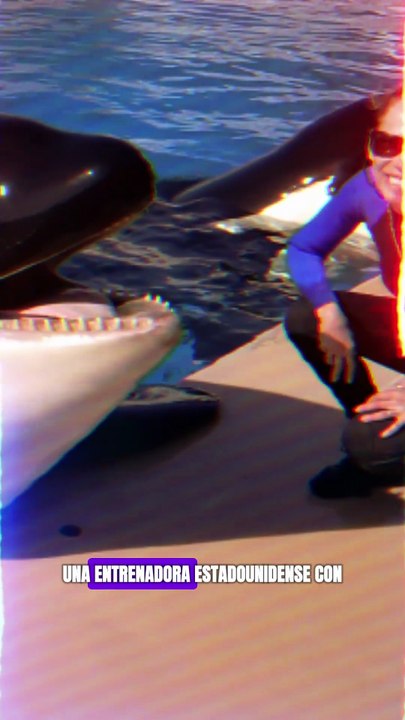 ¡Increíble!  Jessica Radcliffe y el ataque de una ORCA