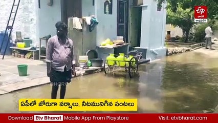 ఏపీలో జోరుగా వర్షాలు -  పొంగిపొర్లుతున్న వాగులు, వంకలు