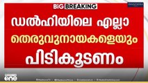 തെരുവുനായ വിഷയം: രാജ്യതലസ്ഥാനത്തെ എല്ലാ തെരുവുനായകളെയും പിടികൂടി പ്രത്യേകം പാർപ്പിക്കണമെന്ന് കോടതി