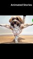dog split in the garden | kids Entertainment |