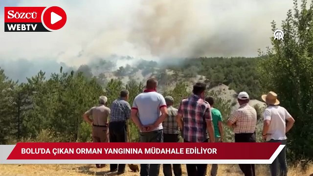 Bolu'da çıkan orman yangınına müdahale ediliyor