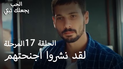 لقد نشروا أجنحتهم - الحب يجعلنا نبكي