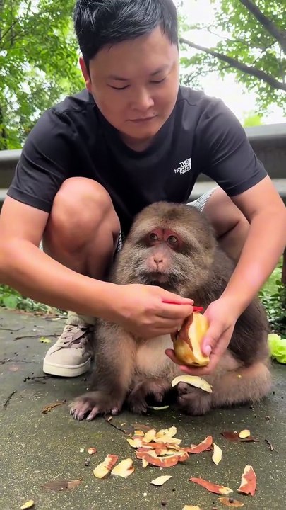 #monkey #monkey #cute #lovely