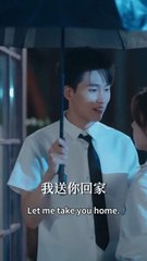 Torn Between Love and Lies