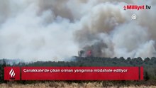 Çanakkale'de çıkan orman yangınına müdahale ediliyor