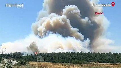 Çanakkale ve Bolu'da orman yangını