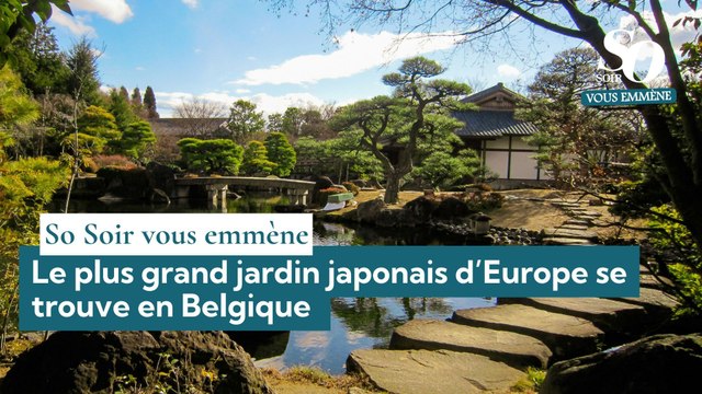 So Soir vous emmène : Le plus grand jardin japonais d’Europe se trouve en Belgique
