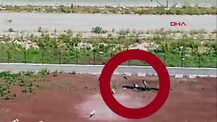 Kars'ta korkunç görüntüler! Hayvan barınağında köpeklere işkence ediliyor