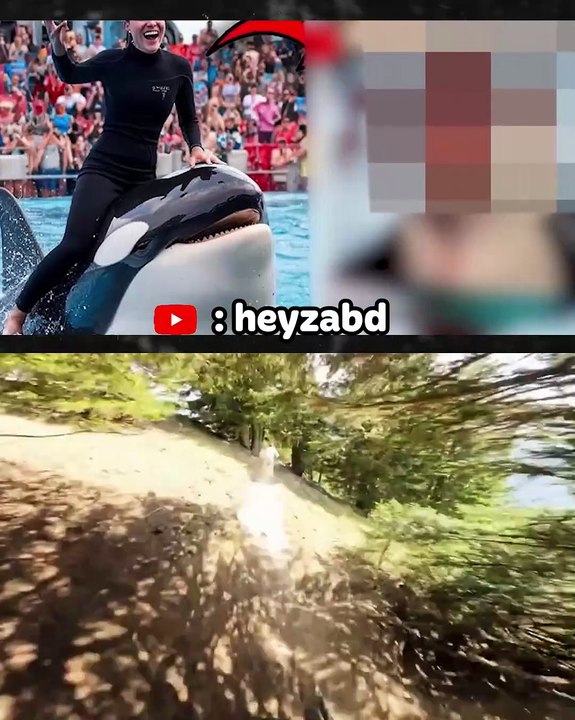 Jessica Radcliffe Orca Attack Real Video