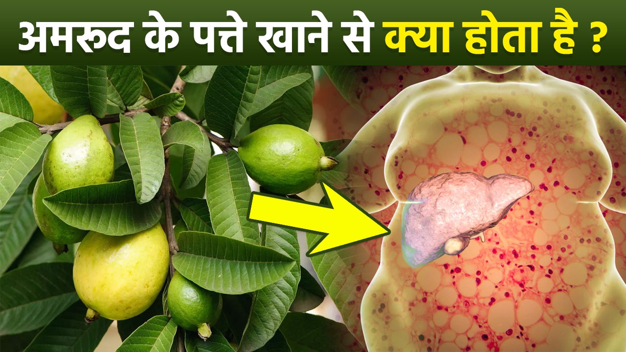 Amrud Ke Patte Khane Se Kya Fayda Hota Hai,Benefits of Guava Leaves for Liver | Boldsky