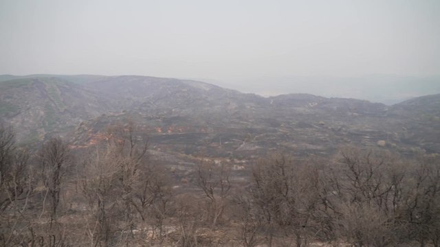 BRUTALES INCENDIO en el NORTE de ESPAÑA llegan a parques PROTEGIDOS por la UNESCO
