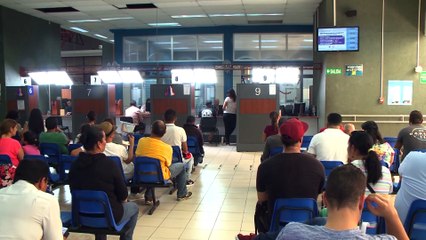 TSE CÉDULAS FRECUENCIA PROG16