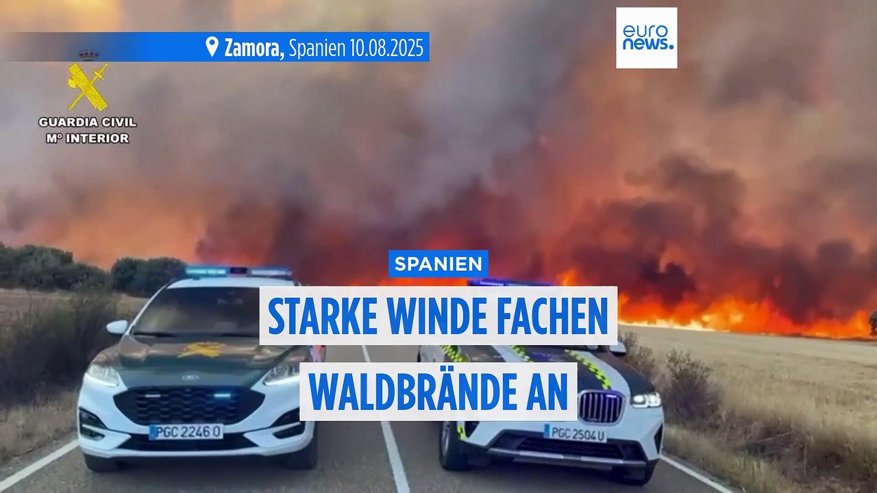 Heiße Winde fachen die Waldbrände in Spanien weiter an: Auch landwirtschaftliche Flächen verbrennen