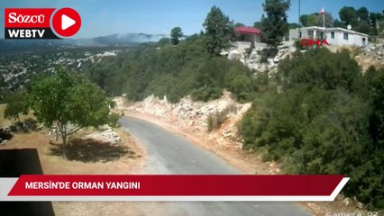 Mersin'de orman yangını