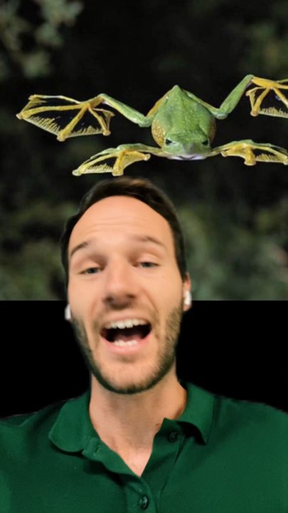 Une GRENOUILLE volante !!