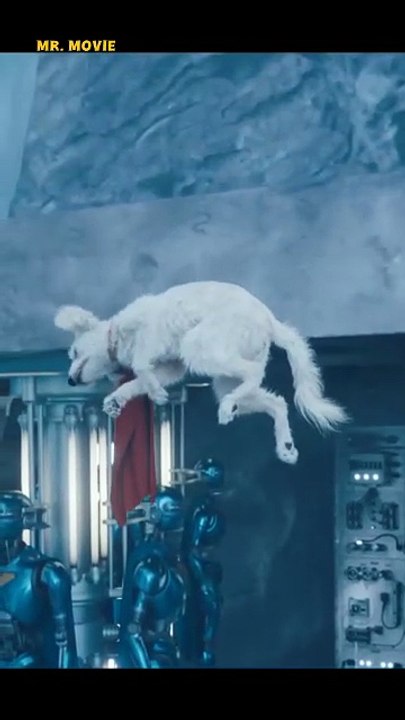 Superman movie Superdog sleeping moment Hollywood’s ICONIC Scenes 🔥🎥 You CAN’T Unsee!