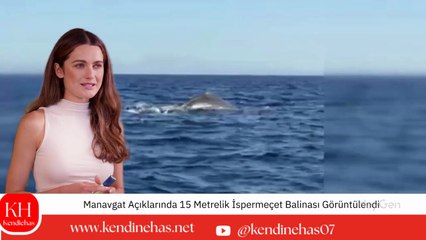 Side Limanı Açıklarında 15 Metrelik İspermeçet Balinası Kamerada