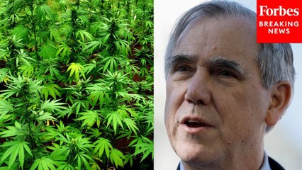 Jeff Merkley: Veterans Should Be Able To Discuss Using Legal Cannabis Treatments With Doctors