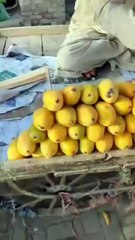 From Village to City Buying Fresh Veggies & Chicken | Daily Village Vlog