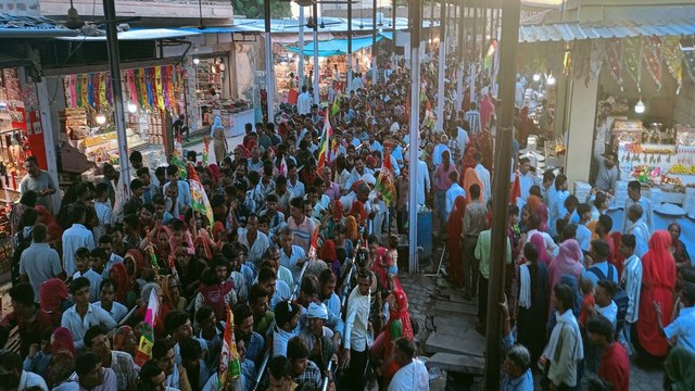 Video: जयकारों से गूंजी रूणिचा नगरी, समाधि के दर्शनार्थ उमड़ा श्रद्धालुओं का हुजूम
