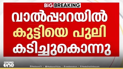 വാൽപ്പാറയിൽ വീണ്ടും എട്ടുവയസ്സുള്ള കുട്ടിയെ പുലി കടിച്ചുകൊന്നു