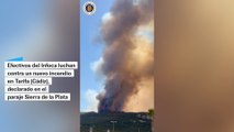 Un nuevo incendio en Tarifa (Cádiz) obliga al desalojo preventivo de Atlanterra