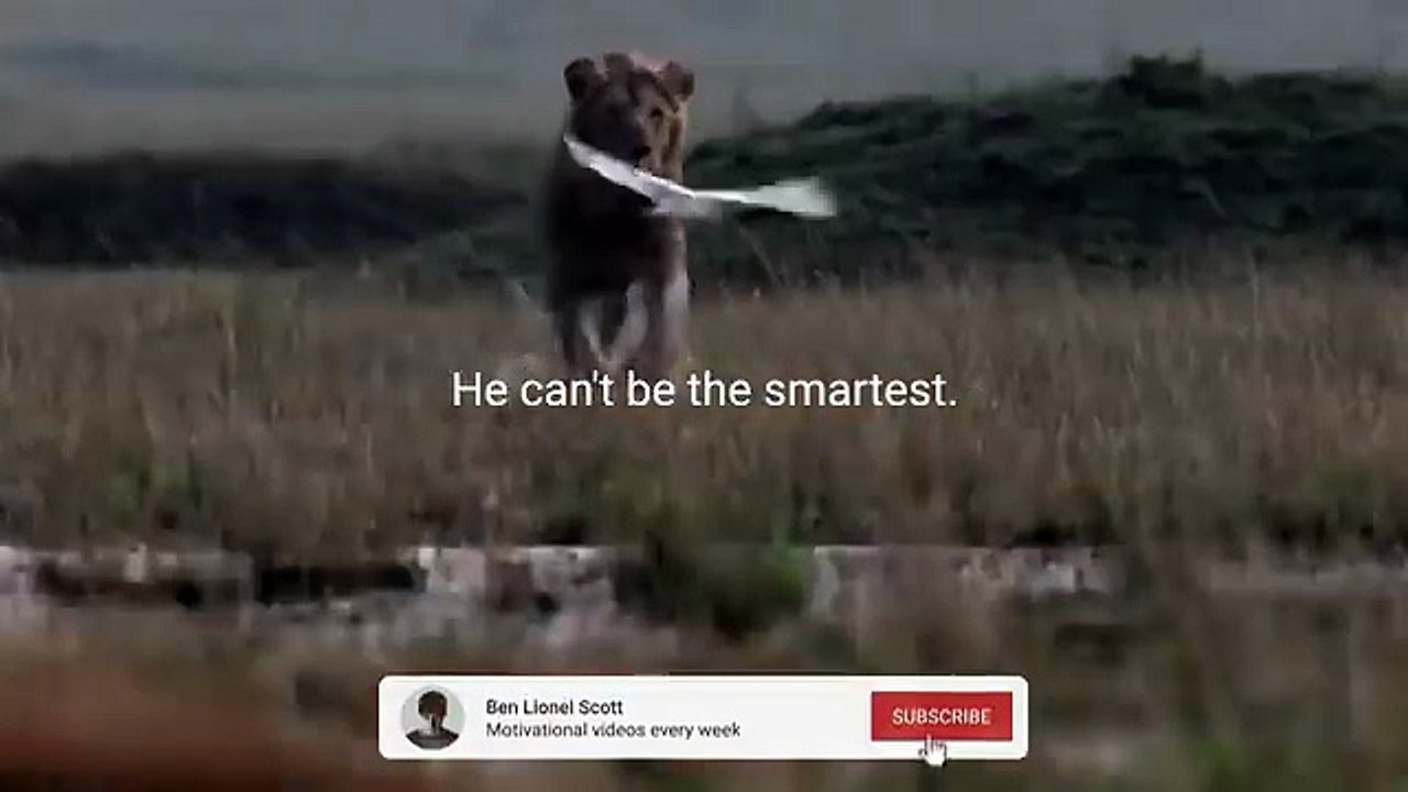LION MENTALITY - Motivational Video