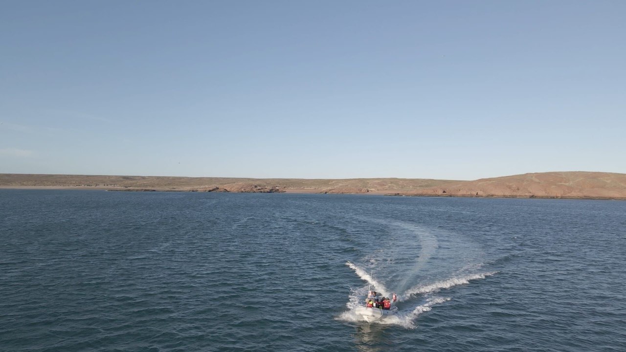 La ligue de la mer