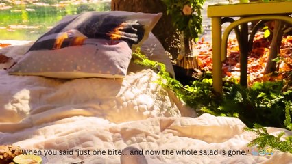 . "Funny Rabbit Eating – The Salad Doesn’t Stand a Chance!"🐇😂