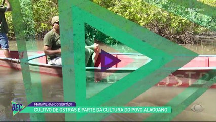 Rally dos Sertões: muito mais que automobilismo, um choque de culturas