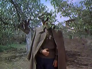 Тихий Дон 3 серия.