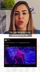 Científicos argentinos, en su búsqueda de lo desconocido, encontraron a la estrella más mediática