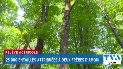 TVA Nouvelles CHAU 12h 11 AOÛT 2025