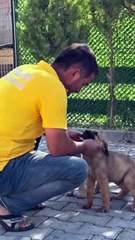 Başkan Hallaç’tan Hayvan Barınağına Modern Dokunuş