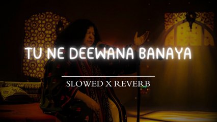 Tu Ne Deewana Banaya | Abida Perveen | Sufi Music |