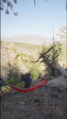 Hammock Setup on Dead Tree Ends in Injury