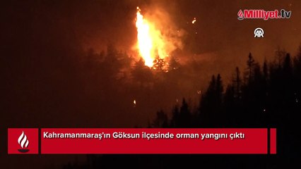 Göksun ilçesinde çıkan orman yangınına müdahale ediliyor