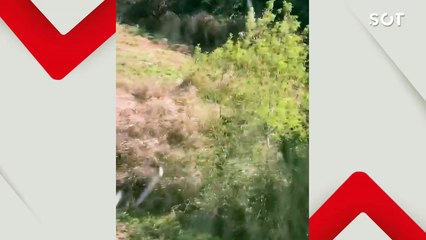 Caçada aérea e terrestre da PMPR fecha cerco e recaptura mais um fugitivo em Assis Chateaubriand