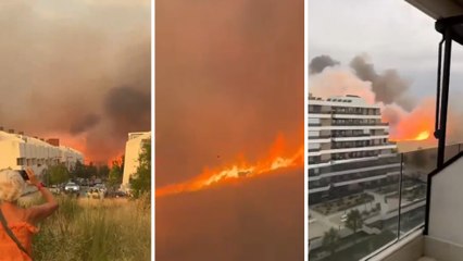 Los vídeos virales del incendio de Tres Cantos: "¡Se están quemando las ovejas!"