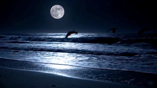 Ocean Waves Sounds ASMR Peaceful Ocean Waves – Nature’s Lullaby for Deep Sleepa