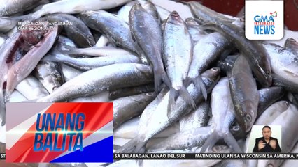 SAMAPA – Sapat ang supply ng bangus sa Pangasinan; walang nakikitang problema kasunod ng pag-apaw ng mga fishpen | Unang Balita