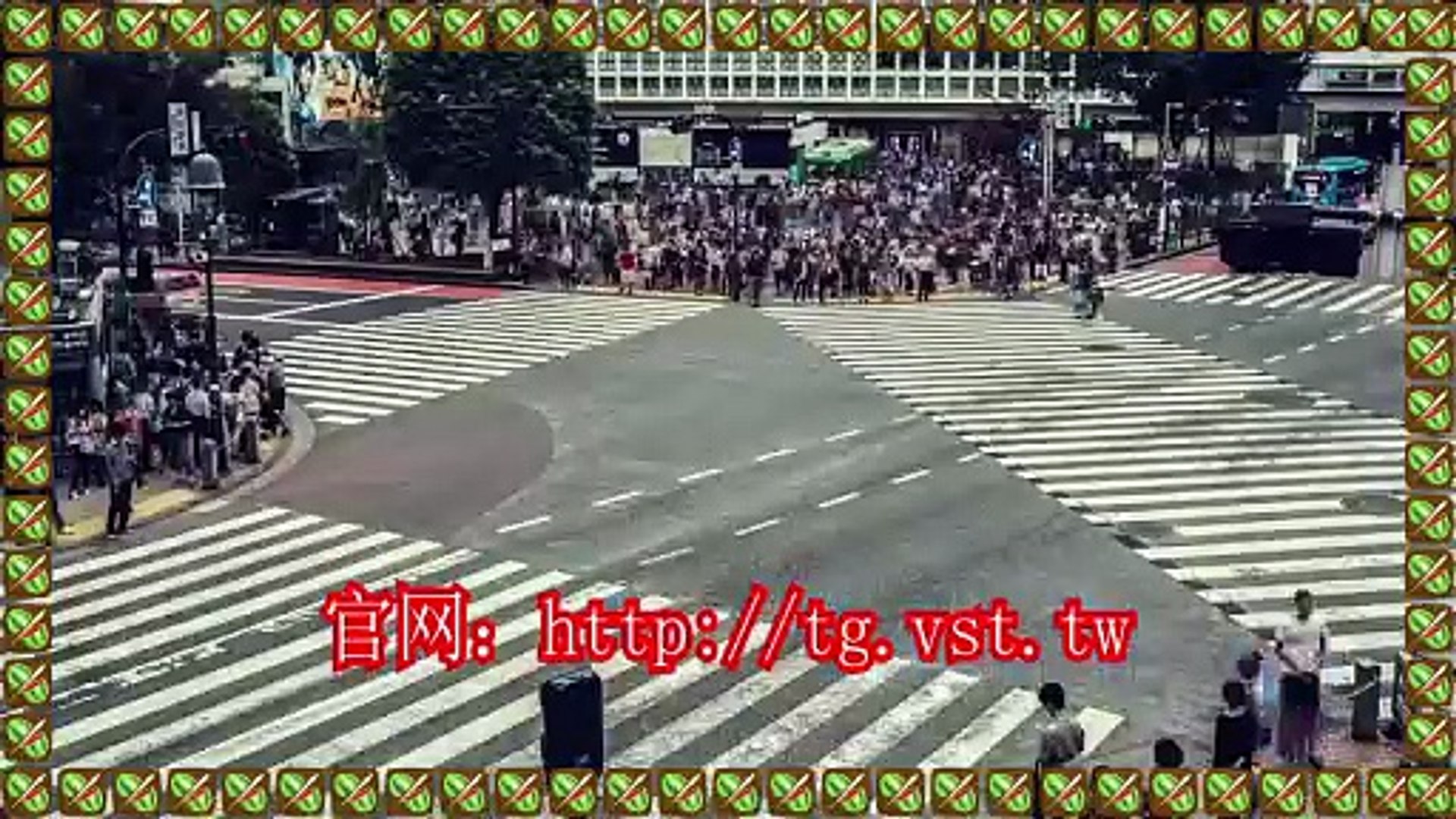 Telegram活粉采集,电报引流王,Telegram拉群,电报群发器.