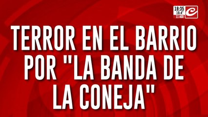 Terror en el barrio por "La banda de la coneja"
