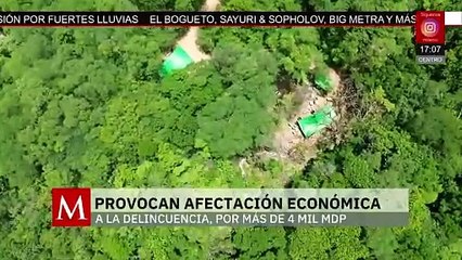 Operativos en el país provocan pérdidas millonarias a la delincuencia
