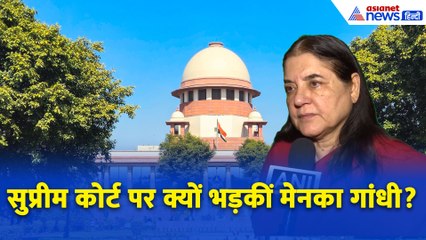 Stray Dogs पर Supreme Court का बड़ा आदेश,  क्यों भड़कीं BJP नेता Maneka Gandhi