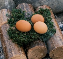 It's time to get ready for the next BBQ🥩 With these hacks you won't go hungry while camping 🍖
