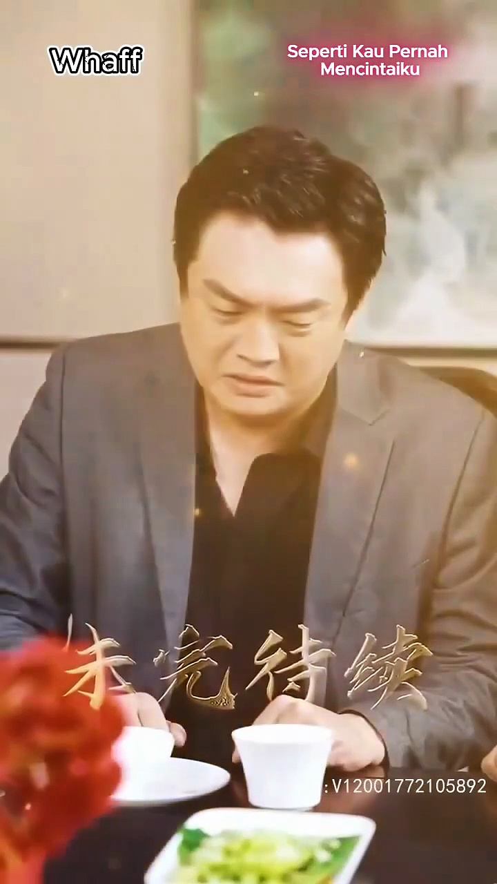  Seperti kau pernah mencintaiku | like you once loved me - part 1 - [multi sub] [chinese drama]