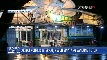 Konflik Internal Bandung Zoo Memanas, Begini Kondisi Satwa hingga Karyawan | SAPA PAGI