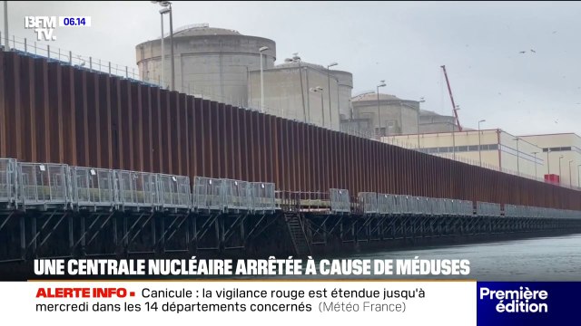 Gravelines: la plus grande centrale nucléaire d’Europe occidentale mise à l’arrêt à cause de méduses